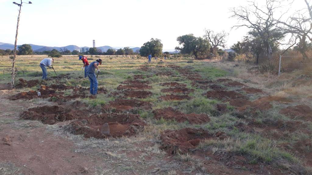 PRAMSEI: Proyectos ambientales en etapas constructivas y operativas (67)